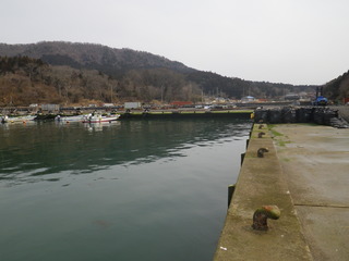 20120328_033牡鹿半島給分浜