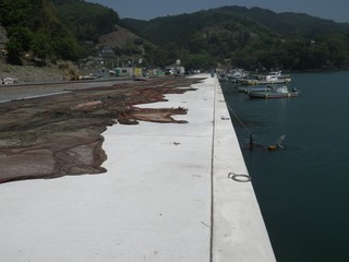 20140528_015牡鹿半島折浜