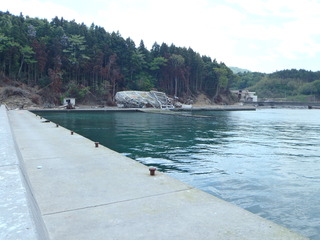 20110525_005旧志津川町南部坂本