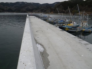 20130227_031女川指ヶ浜