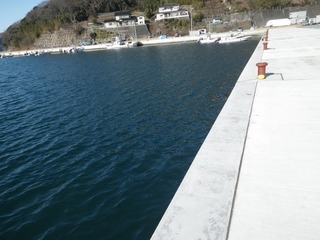 20140115_043牡鹿半島月浦