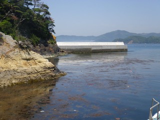 20140528_062牡鹿半島真黒浜