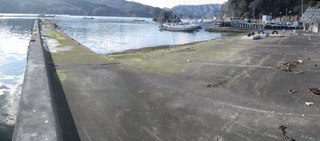 20140122_081雄勝小島_stitch