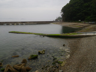 20120725_039旧志津川町南部滝浜