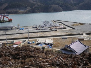 20130220_035牡鹿半島桃浦