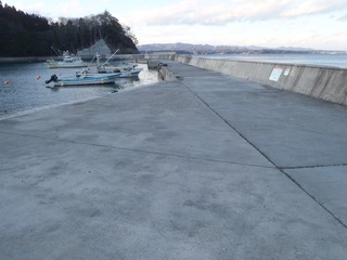 20220204_013志津川町長清水