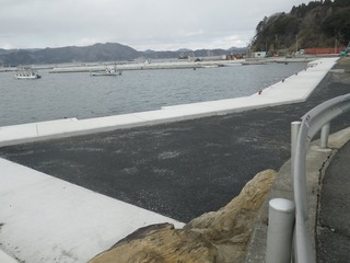 20170125_008女川塚浜