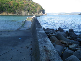 20111109_021旧志津川町南部滝浜