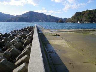 20111116_010女川桐ヶ崎