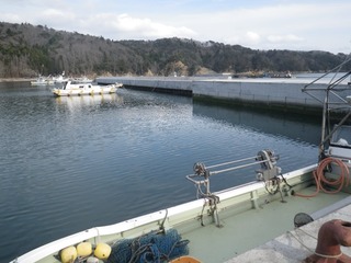 20150408_062牡鹿半島福貴浦