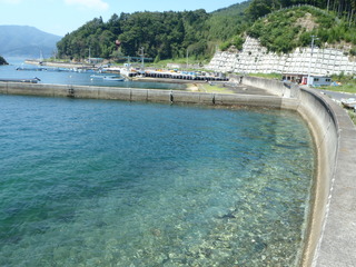 20120822_065雄勝小島