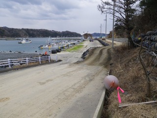 20130220_077牡鹿半島鹿立