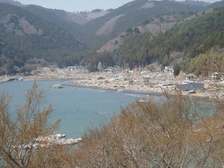 20110413_4130140牡鹿半島桃浦