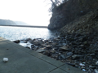 20120118_009牡鹿半島折浜