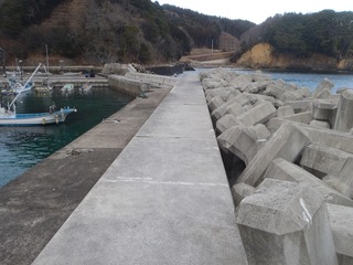 20220204_009十三浜小指