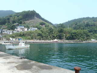 20110727_005牡鹿半島折浜