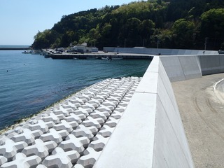 20190508_002牡鹿半島折浜