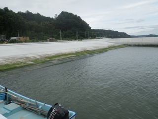 20160705_001旧志津川町南部折立