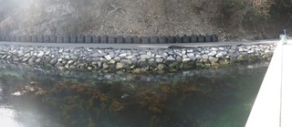 20150204_021牡鹿半島折浜_stitch