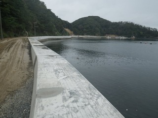 20150901_034牡鹿半島真黒浜