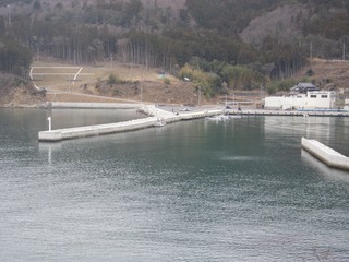 20160309_032牡鹿半島桃浦