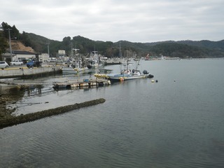 20141105_010牡鹿半島西部荻浜