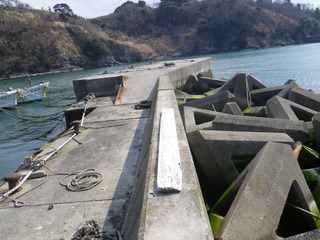 20120328_056牡鹿半島狐崎