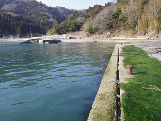 20120328_091牡鹿半島蛤浜