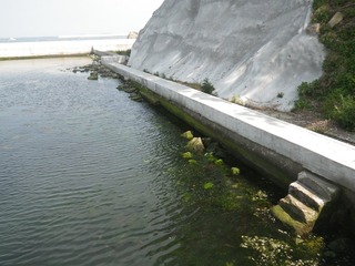 20150715_037女川小乗浜