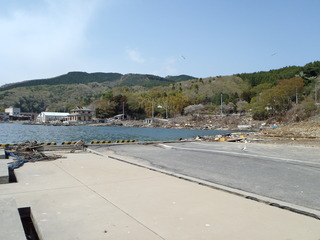 20110504_057女川石浜