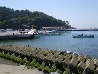 20140528_089牡鹿半島給分浜