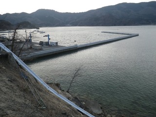 20140416_009女川飯子浜