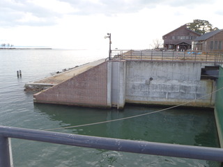 20111210_048鳴瀬川河口