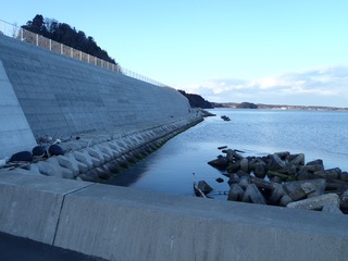 20220307_004志津川折立