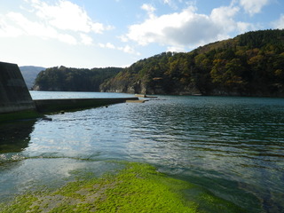 20111116_017女川竹浦