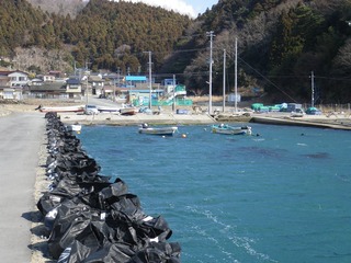 20130220_015牡鹿半島小竹