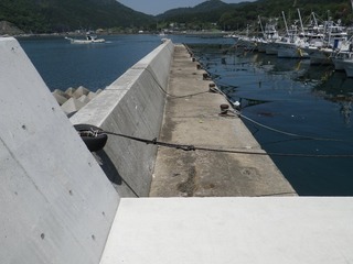 20140528_086牡鹿半島給分浜