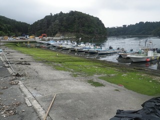 20130612_025牡鹿半島小淵浜