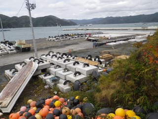 20131022_040女川塚浜