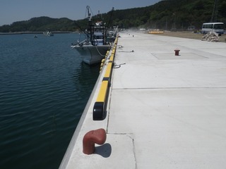 20140528_044牡鹿半島荻浜