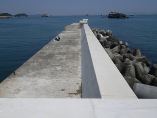 20140424_031宮戸島室浜