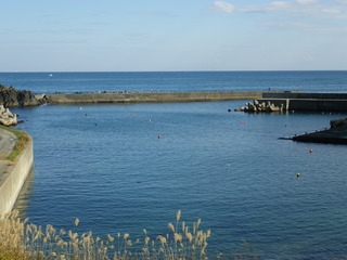 20111109_030十三浜小滝