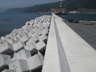 20140528_032牡鹿半島桃浦