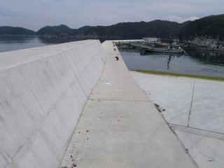 20140709_012女川尾浦