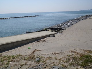 20140424_004鳴瀬川河口