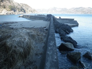 20140129_008雄勝波板