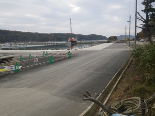 20141105_020牡鹿半島西部鹿立