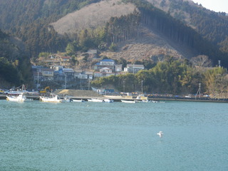 20120328_087牡鹿半島折浜