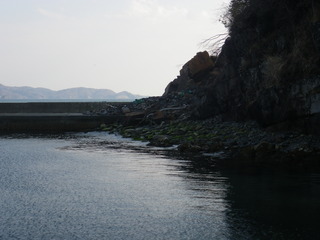 20120328_084牡鹿半島折浜