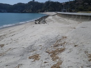 20140424_022宮戸島室浜